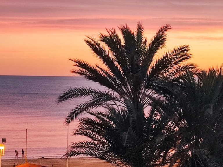 Apartment for Sale in Torrevieja, Alicante 24