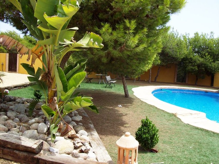 Country House for Sale in Lo Pepin, Ciudad Quesada, Alicante 13