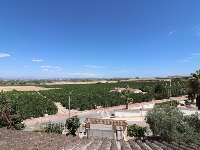 Villa for Sale in Lomas de La Juliana, Algorfa, Alicante 41