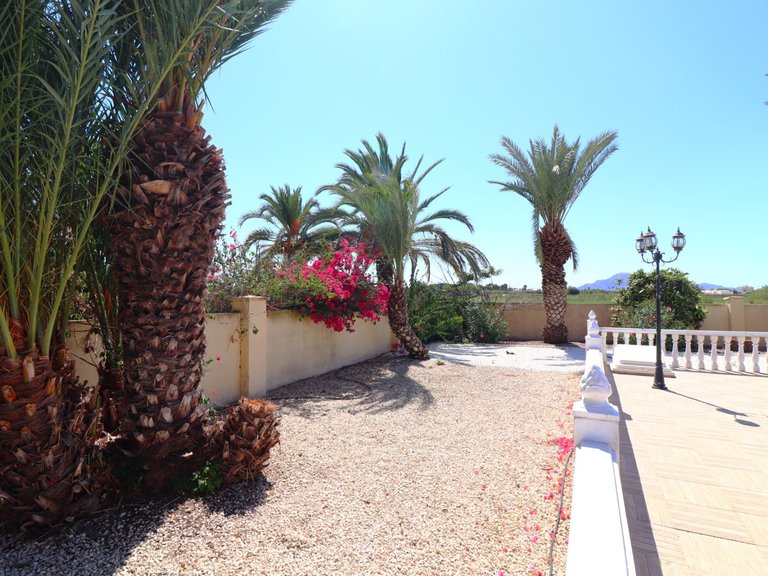 Country House for Sale in Catral - Country, Catral, Alicante 29