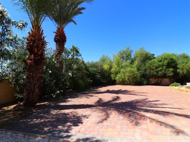 Country House for Sale in Catral - Country, Catral, Alicante 28