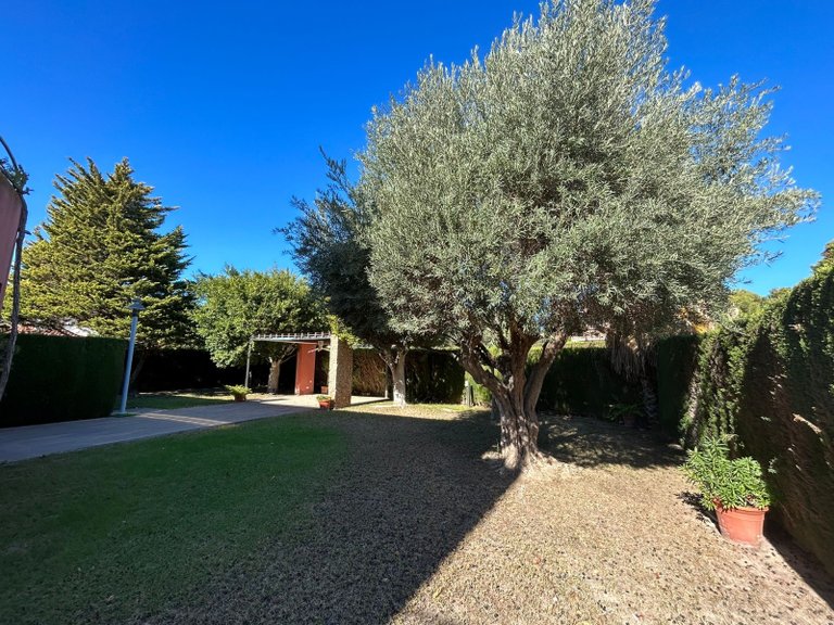 Villa for Sale in Dehesa de Campoamor, Orihuela Costa, Alicante 23