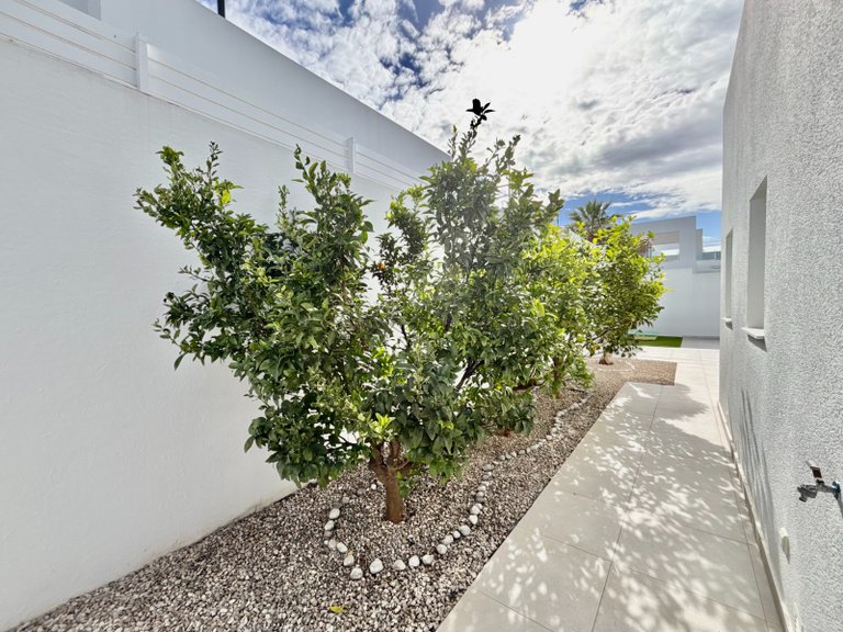 Villa for Sale in Benijofar - Village, Benijófar, Alicante 28