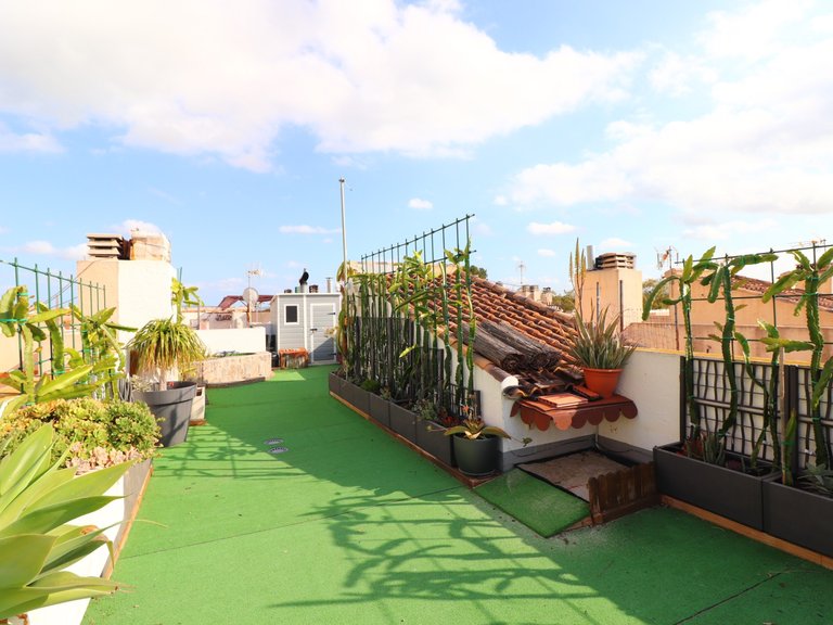 Town House for Sale in Redovan - Town, Redovan, Alicante 36