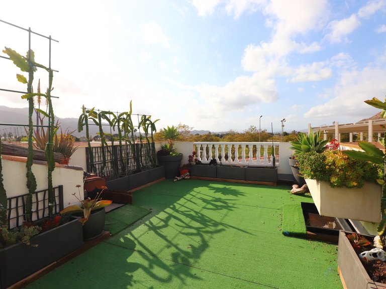 Town House for Sale in Redovan - Town, Redovan, Alicante 35