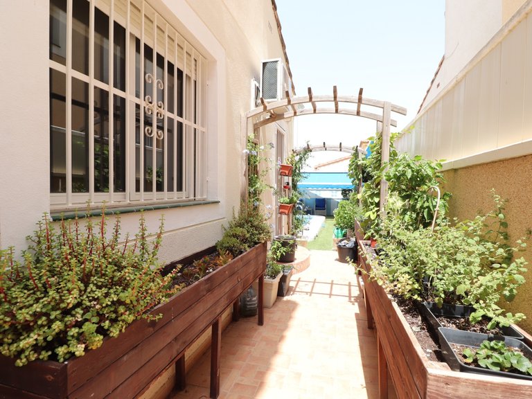 Villa for Sale in Inland Algorfa, Alicante 36