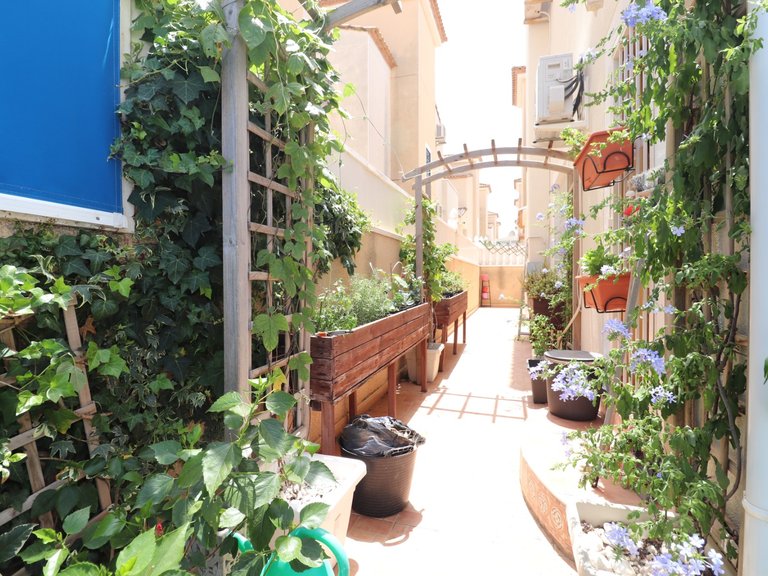 Villa for Sale in Inland Algorfa, Alicante 35