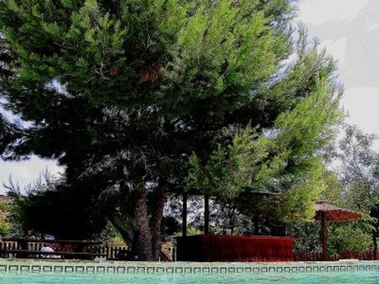 Villa for Sale in Gea Y Truyols, Murcia 16