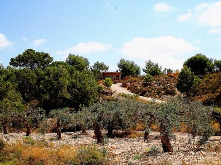 Villa for Sale in Gea Y Truyols, Murcia 24