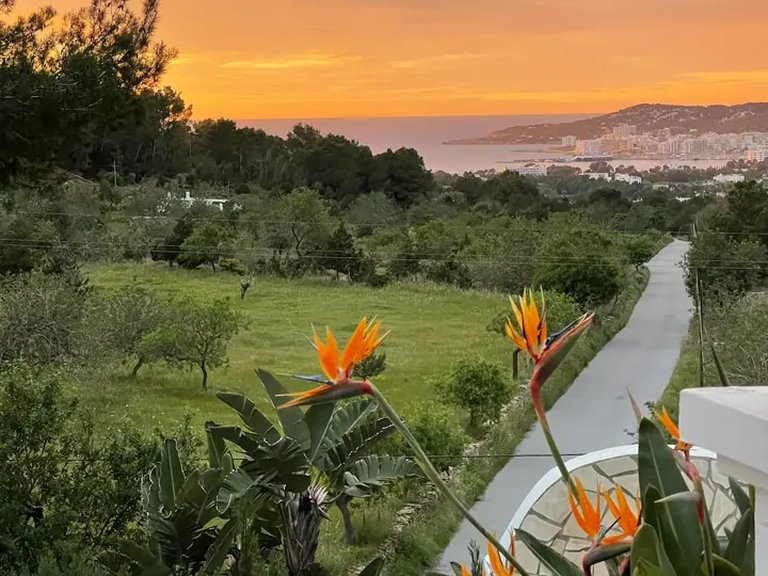 Villa for Sale in Sant Josep, Balearic Islands 40