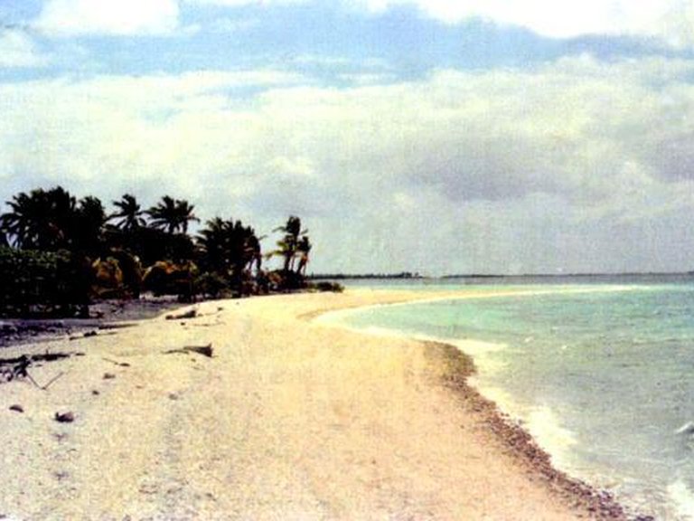 Plot for Sale in Polinesia Francesa, Archipiélago Tuamotu, España 9