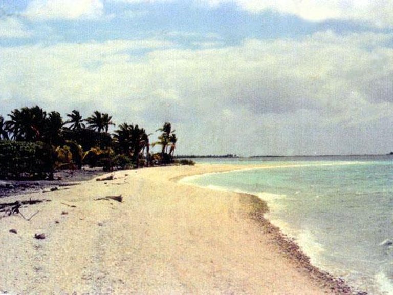 Plot for Sale in Polinesia Francesa, Archipiélago Tuamotu, España 8