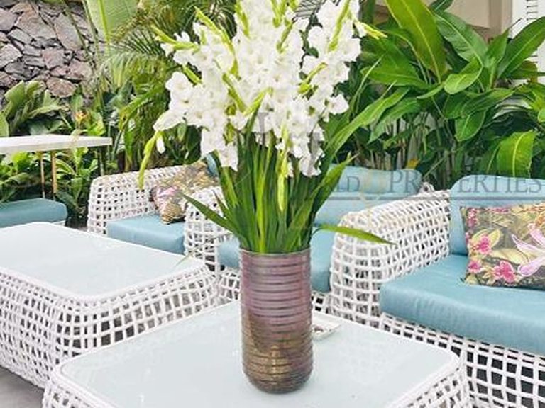 Villa for Sale in Costa Adeje, Tenerife, España 4