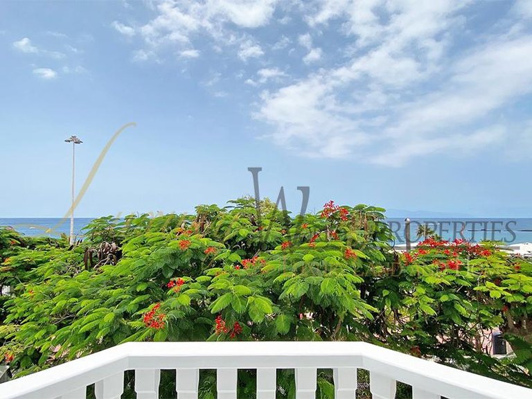 Villa for Sale in Costa Adeje, Tenerife, España 23