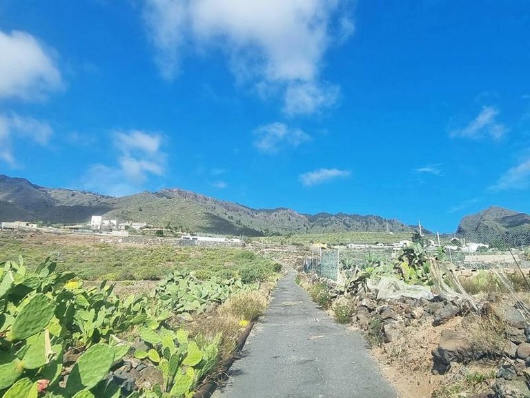 Villa for Sale in Adeje, Tenerife, España 21