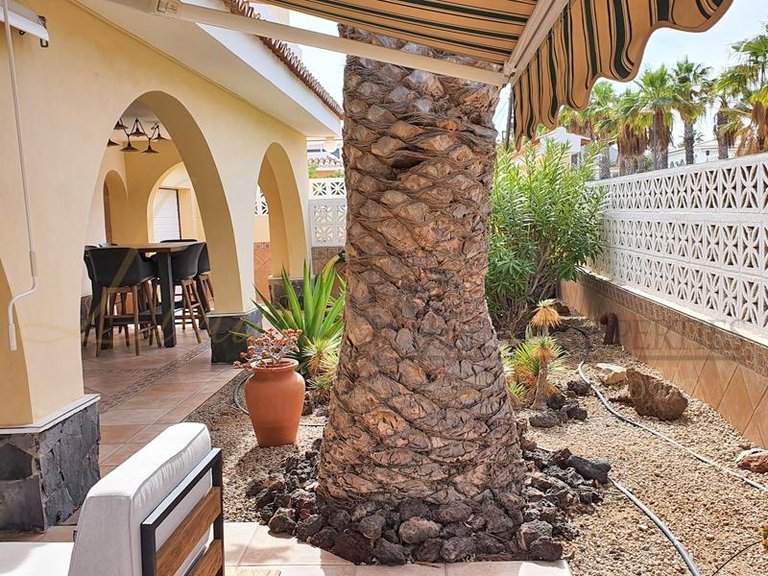 Villa for Sale in Palm Mar, Tenerife, España 10