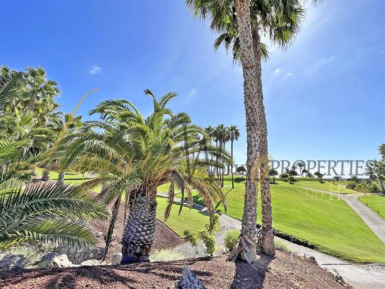 Villa for Sale in Guia De Isora, Tenerife, España 11