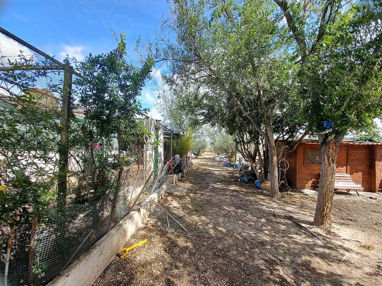 Villa for Sale in Sax, Alicante 21