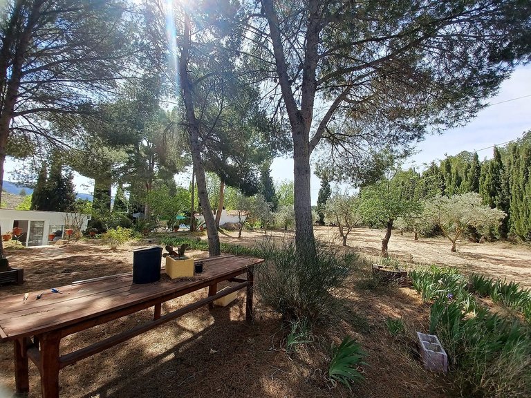 Villa for Sale in Sax, Alicante 20