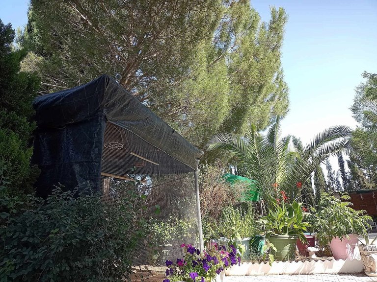 Villa for Sale in Sax, Alicante 17