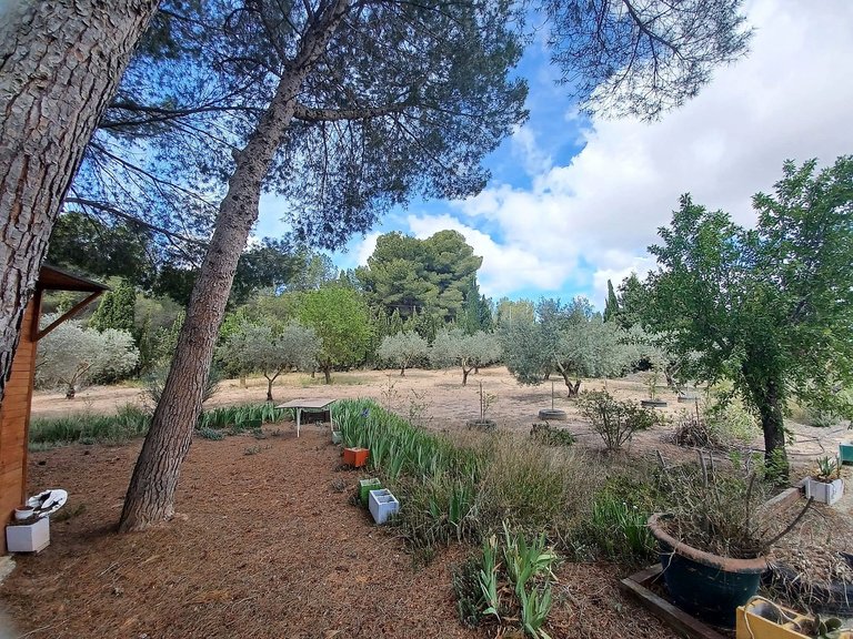 Villa for Sale in Sax, Alicante 23