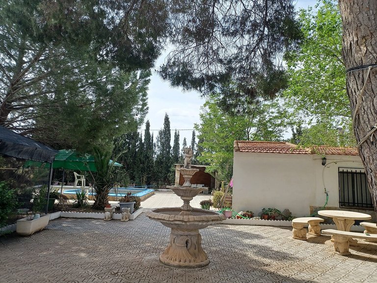 Villa for Sale in Sax, Alicante 8
