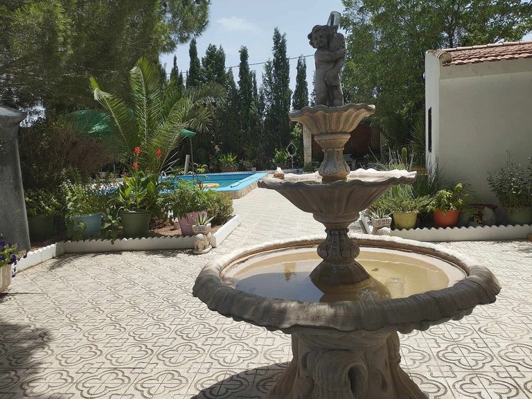 Villa for Sale in Sax, Alicante 5