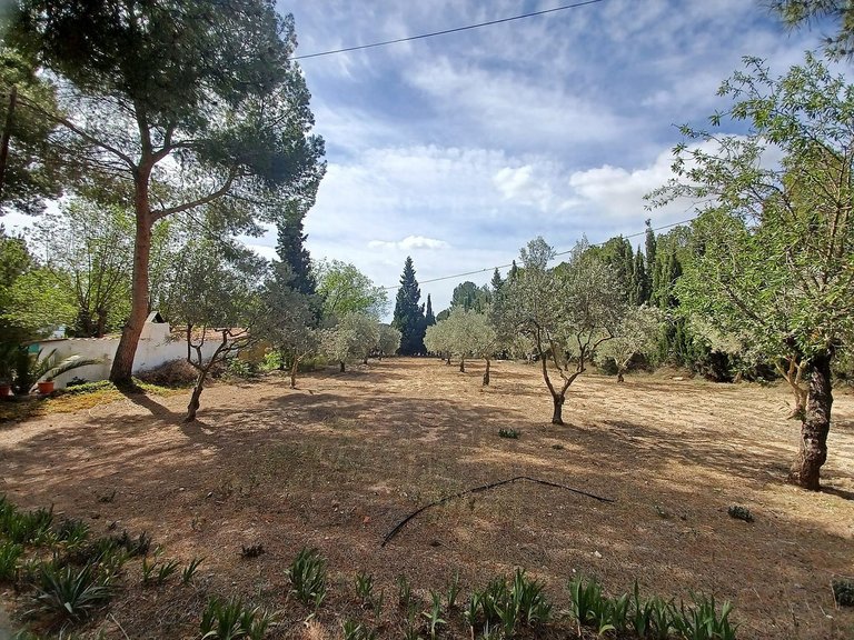 Villa for Sale in Sax, Alicante 22