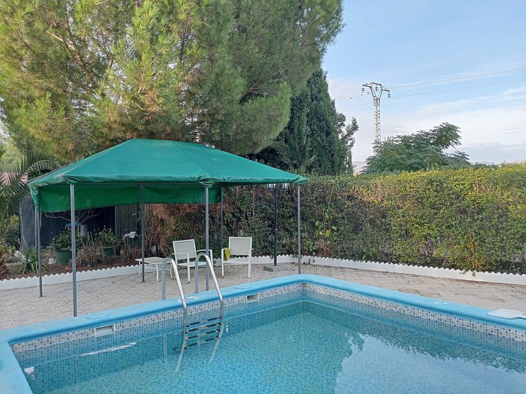 Villa for Sale in Sax, Alicante 2