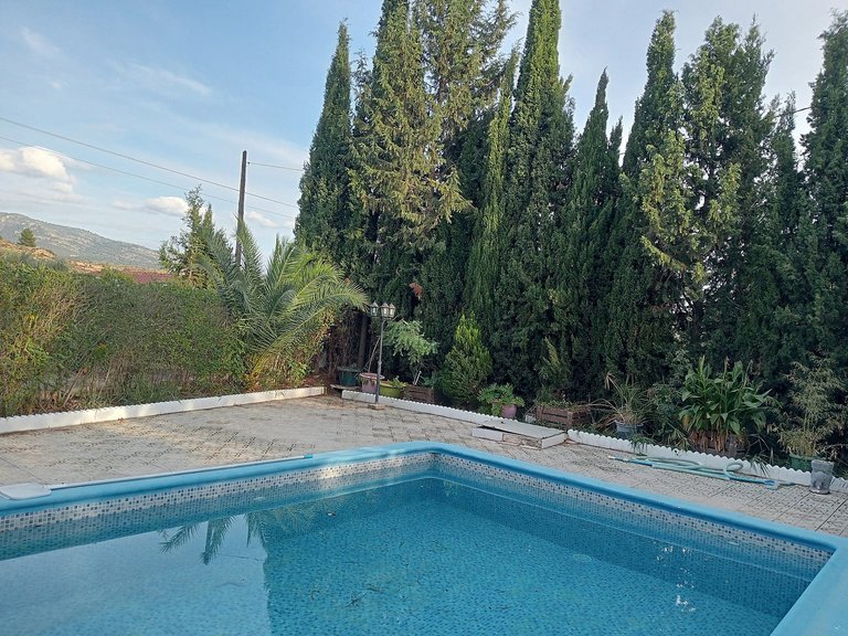 Villa for Sale in Sax, Alicante 18