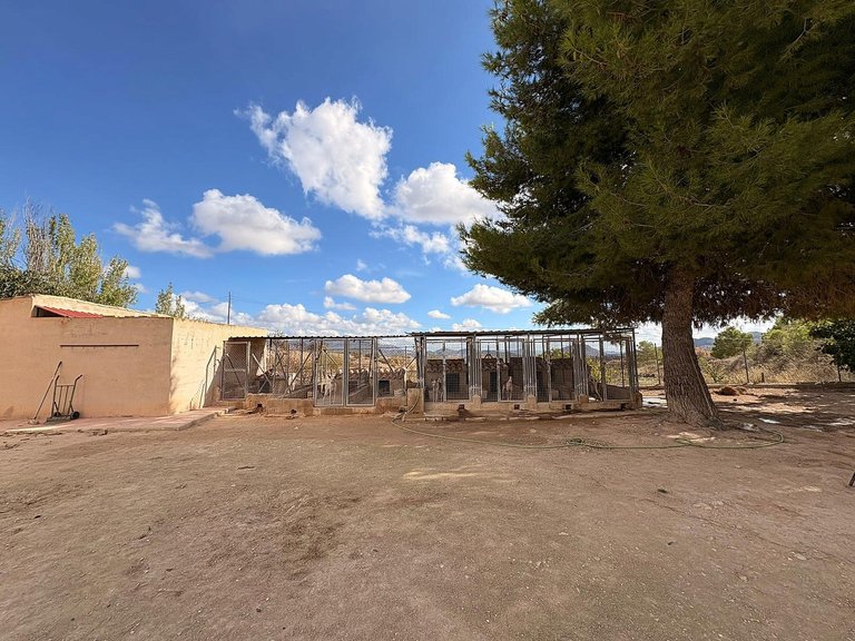 Villa for Sale in Monovar, Alicante 29