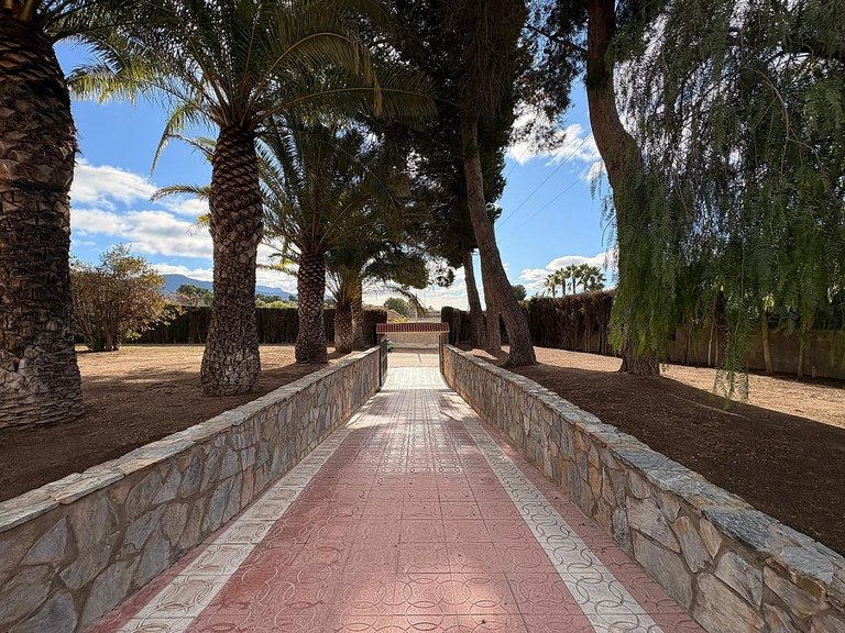 Villa for Sale in Sax, Alicante 29