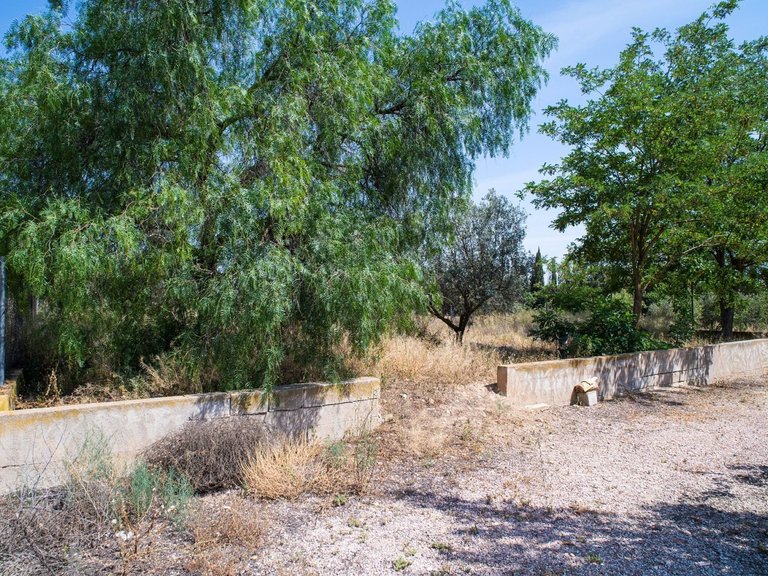 Country House for Sale in Pinoso, Alicante 49