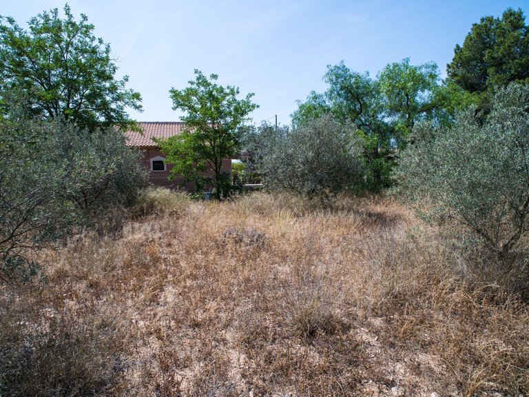 Country House for Sale in Pinoso, Alicante 50
