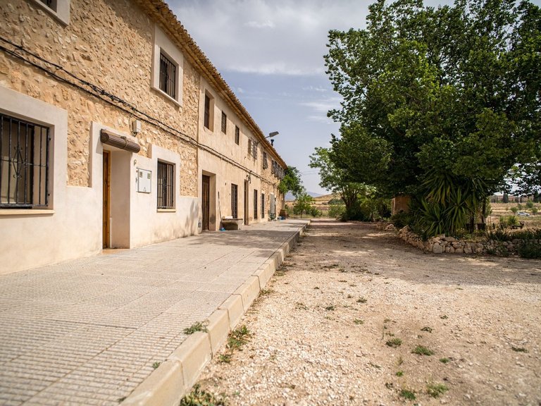 Country House for Sale in Pinoso, Alicante 6