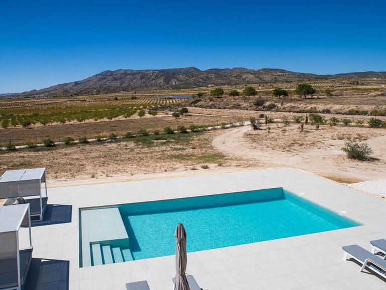 Villa for Sale in Pinoso, Alicante 2