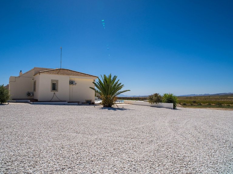 Villa for Sale in Pinoso, Alicante 14