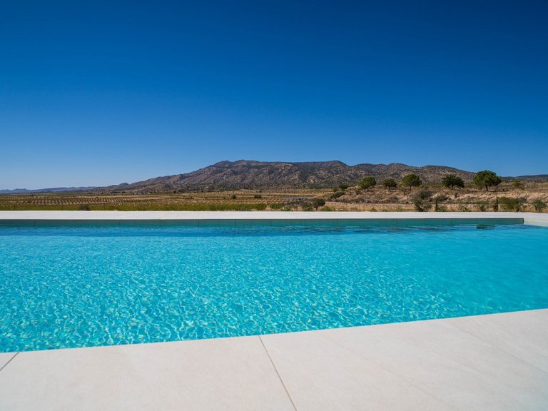 Villa for Sale in Pinoso, Alicante 6