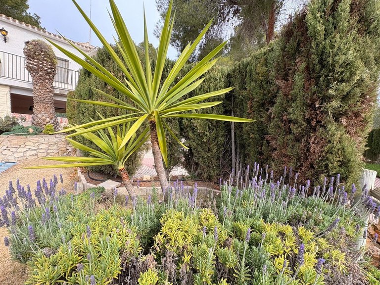 Villa for Sale in Sax, Alicante 40