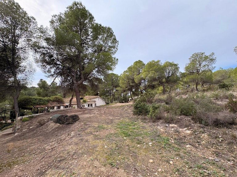 Villa for Sale in Sax, Alicante 36