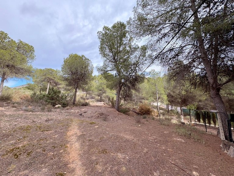 Villa for Sale in Sax, Alicante 38
