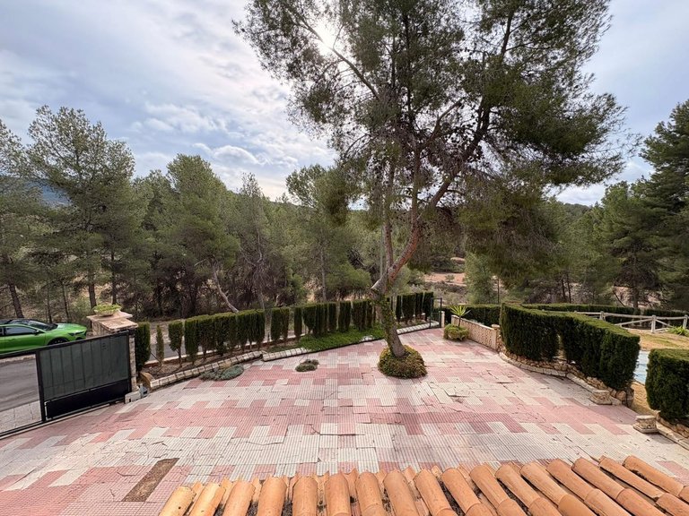 Villa for Sale in Sax, Alicante 26