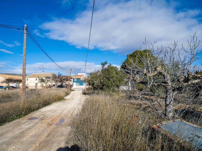 Country House for Sale in Pinoso, Alicante 8