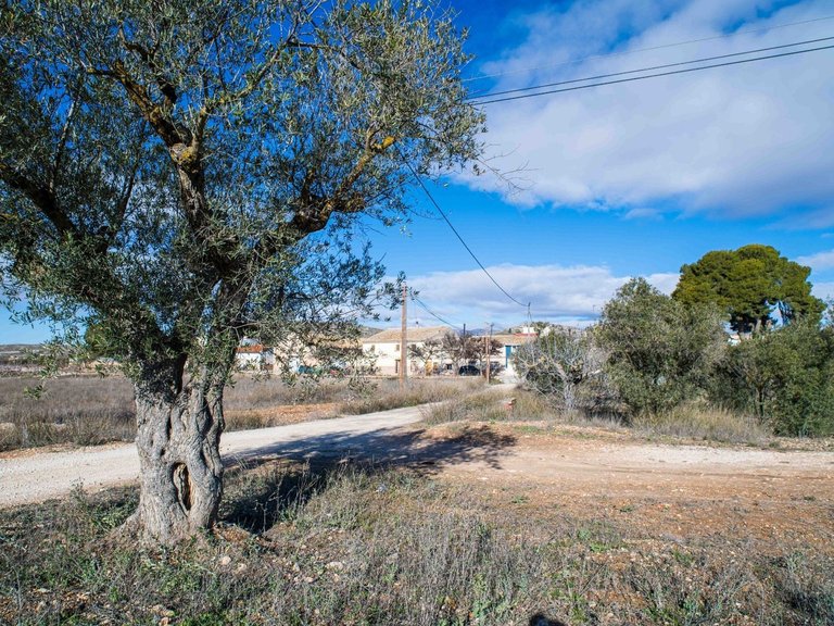 Country House for Sale in Pinoso, Alicante 12