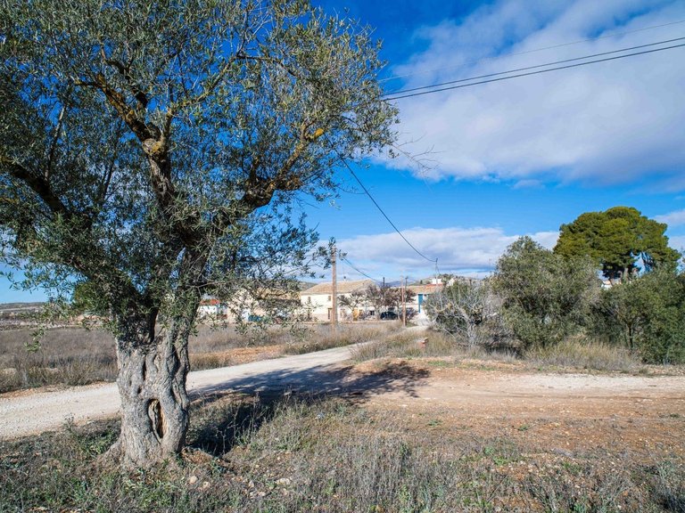 Country House for Sale in Pinoso, Alicante 23