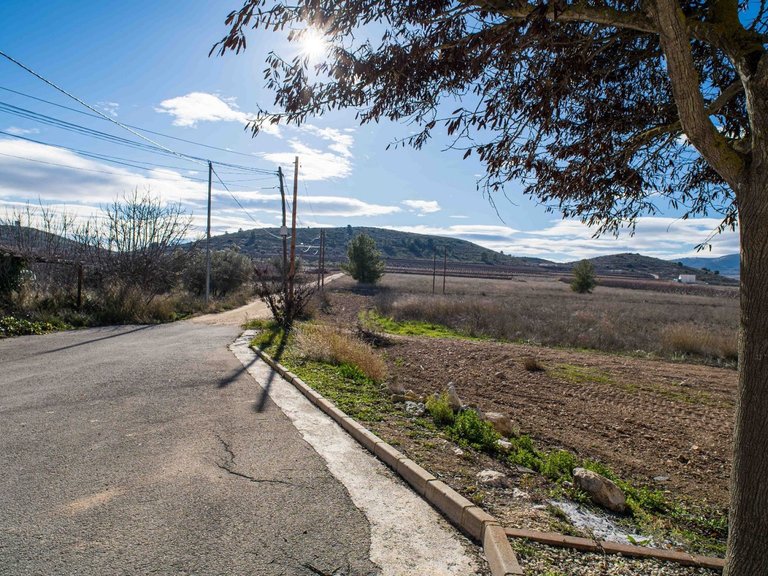 Country House for Sale in Pinoso, Alicante 26