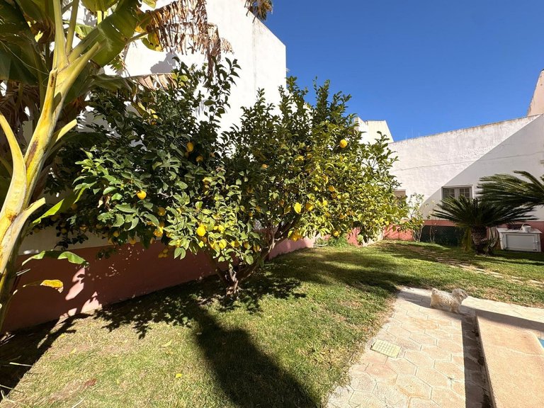 Villa for Sale in Sax, Alicante 40