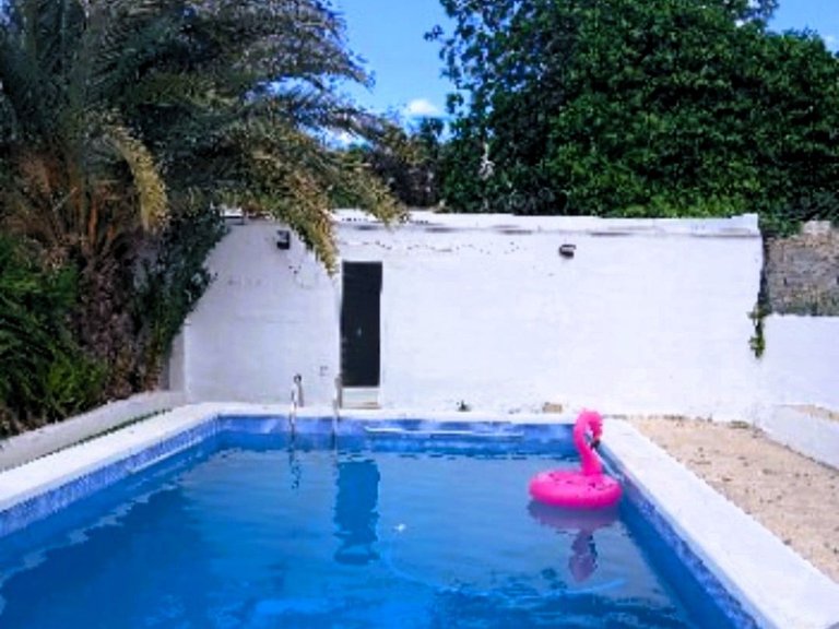 Villa for Sale in Elche, Alicante 2