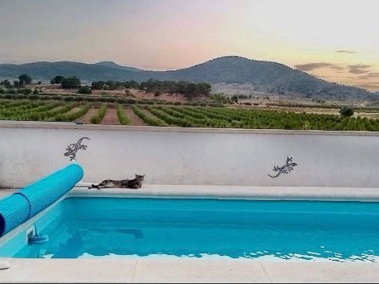 Town House for Sale in Pinoso, Alicante 3