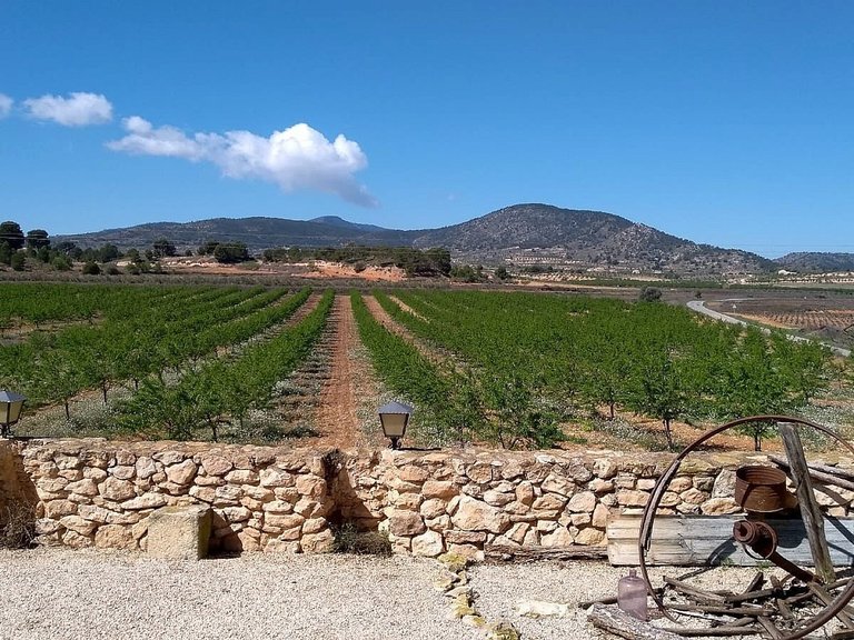 Town House for Sale in Pinoso, Alicante 4